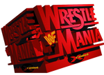 Flash Drive WWE WrestleMania 14