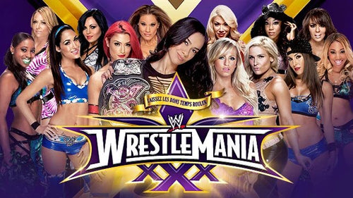 Flash Drive WWE WrestleMania 30
