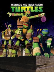 Flash Drive Teenage Mutant Ninja Turtles The Complete 2012 Series