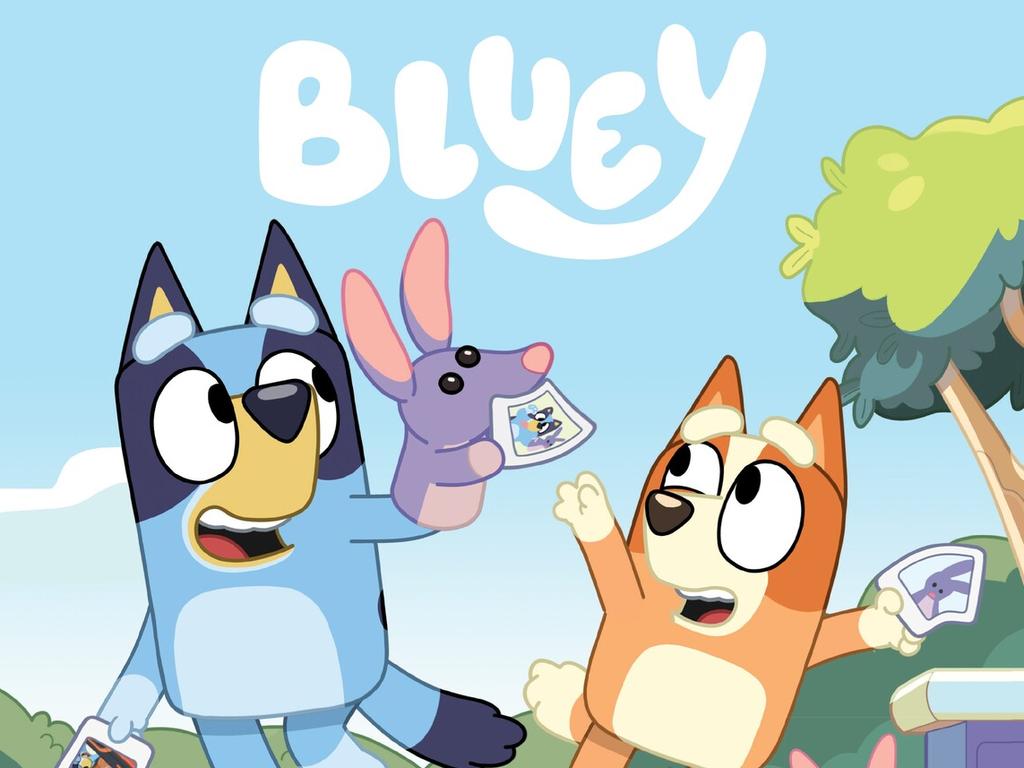 Flash Drive Bluey Season 2