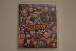 Flash Drive WWE SummerSlam Collection