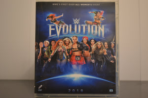 Flash Drive WWE Evolution