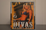 Flash Drive WWE Divas Desert Heat