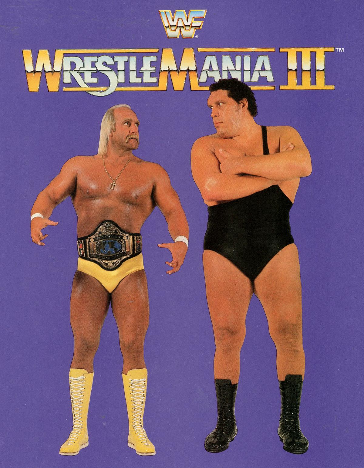 Flash Drive WWE WrestleMania 3