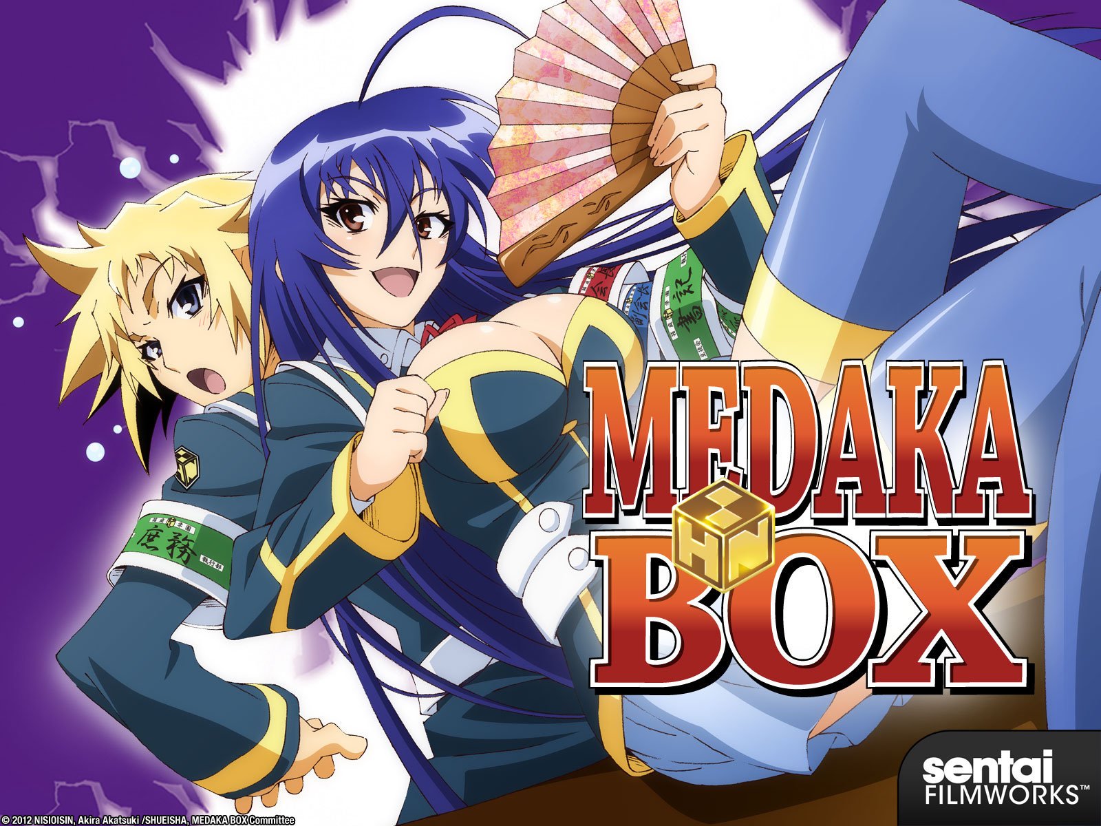 Flash Drive Medaka Box
