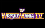 Flash Drive WWE WrestleMania 4
