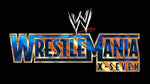 Flash Drive WWE WrestleMania 17