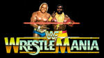 Flash Drive WWE WrestleMania 1